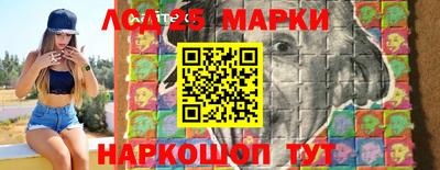 индика Обнинск