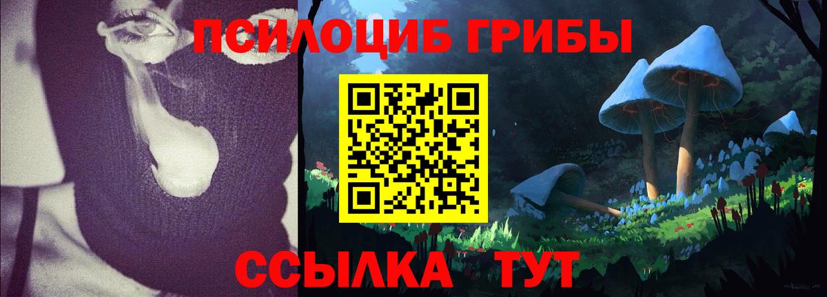 Псилоцибиновые грибы мицелий  Вход с VPN  Сибай  Галлюциногенные грибы Cubensis 